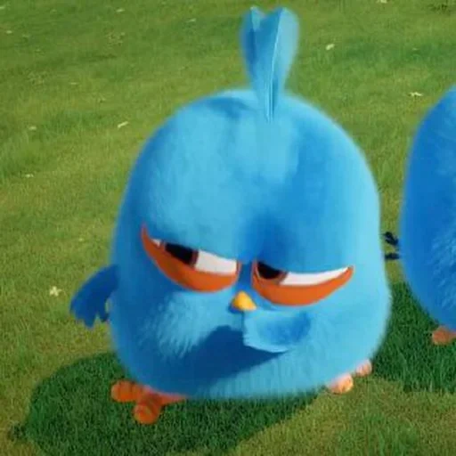 angry birds, angry birds blues 1, cartoon angry bird blues, série de pintura de transferência azul de pássaro raivoso, raiva passarinho azul mobiliza a série de fotos