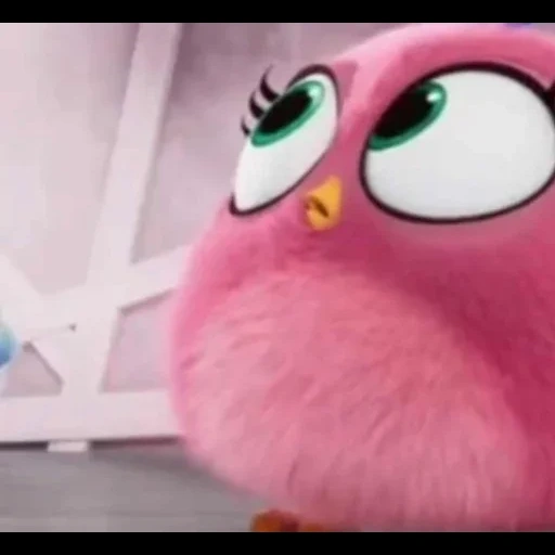 angry birds, zoe engley burz, angry birds film, engriberz küken