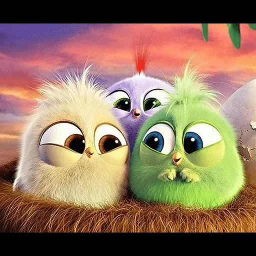 angry birds, angry birds film, angry vogel küken, angry birds haarig, engry vögel küken cartoon