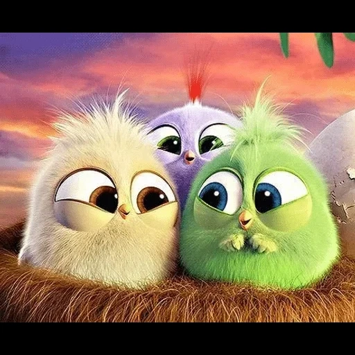 angry birds, filme angry birds, pássaro raivoso, pássaro zangado peludo, cartoon engry birds chicken