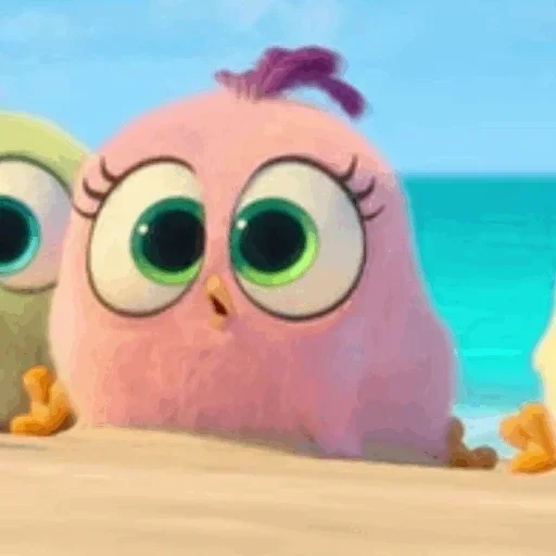 angry birds, angry birds movie, engry birds chick, engeli bird 2 chickens