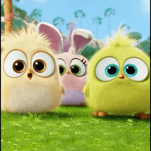 angry birds, filme angry birds, cartaz de frango, cartoon engry birds chicken, the angry birds movie happy easter from e hatchlings