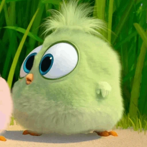 angry birds, filme angry birds, engri bird 2 galinhas, garota verde de pássaro engri, cartoon engry birds chicken