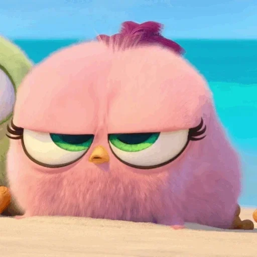 angry birds, film angry birds, phoques angry birds 2, oiseau d'engri 2 phoques, angry birds 2 film dessin animé 2019