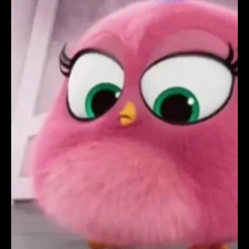 angry birds, zoe ngeri berz, film angry birds, poulet engribeutz