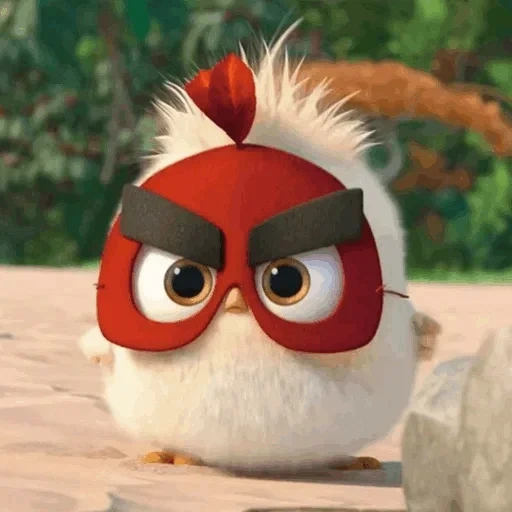 angry birds, engri bird red, engri bird red