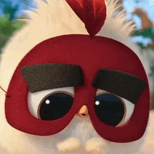 angry birds, engeli booz, película de pájaro enojado, pájaro enojado