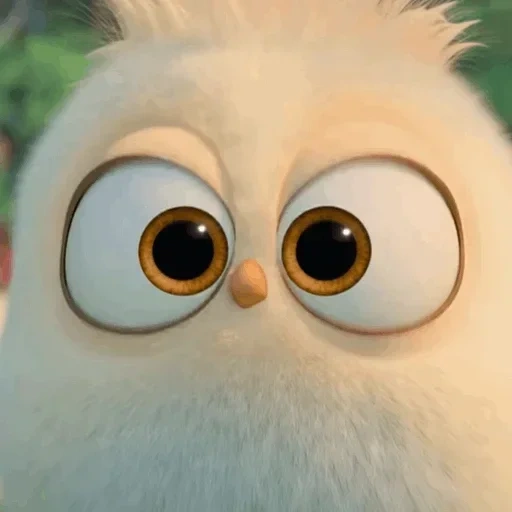 angry birds, angry birds movie, engry birds chick, angry birds 2 movie chicken
