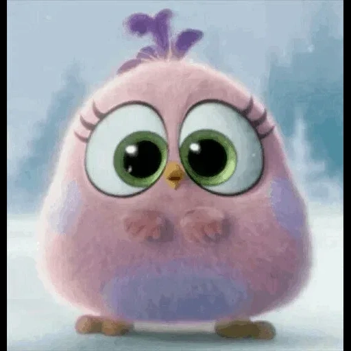 angry birds, film angry birds, cartoon d'oiseau mignon, mignon petit oiseau engribeutz, poulet engri oiseau mignon