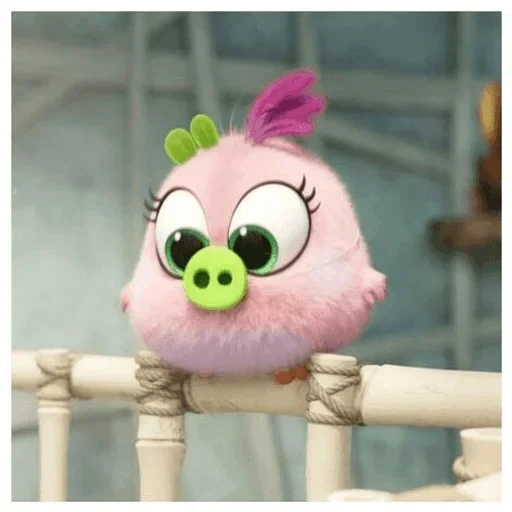 angry birds, angry birds film, angry birds hatchlings, angry birds 2 cartoon, engeli vogel 2 seehunde