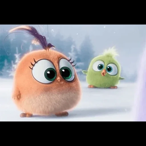 angry birds, film angry birds, angry bird chicken, pollo engribertz, adorabile uccellino engriboz