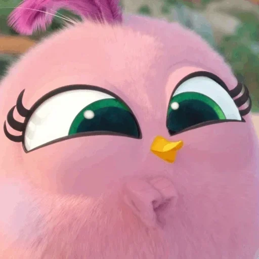 angry birds, pollo de engelice, la película de engeli booz stella, angry pájaro peludo