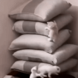 tappetini in cotone, cuscino bianco, cuscino di peluche, kisa vorobianinov, conservazione in sacchi di grano