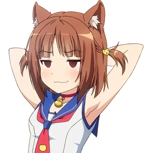 nekopara, nekopara azuki, o direito de azuki, azuki é da mesma maneira