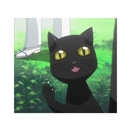 yoruichi, кот блича, йоруичи кот, jut su аниме, йоруичи шихоуин кошка