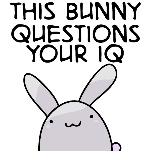 rabbit, rabbit, cute rabbit, a chubby rabbit, rabbit hilarious