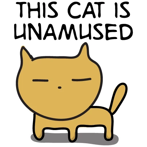 gatto, gatto, umano, fuck cat, cat introverso