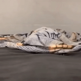 mensch, 3d-modell, der tiger lügt, die kunst der skulptur, der tiger liegt mit einem weißen hintergrund