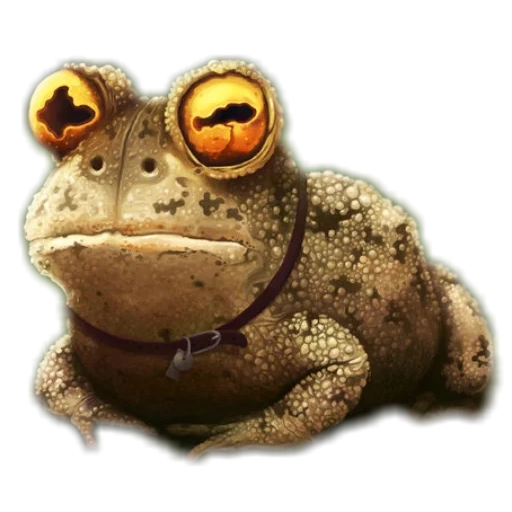 жабы, гипножаба, обыкновенная жаба