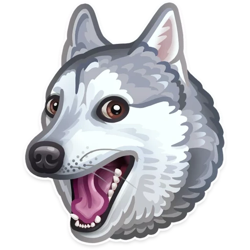husky, cão, harth dog, símbolo de expressão de husky, cão meme husky
