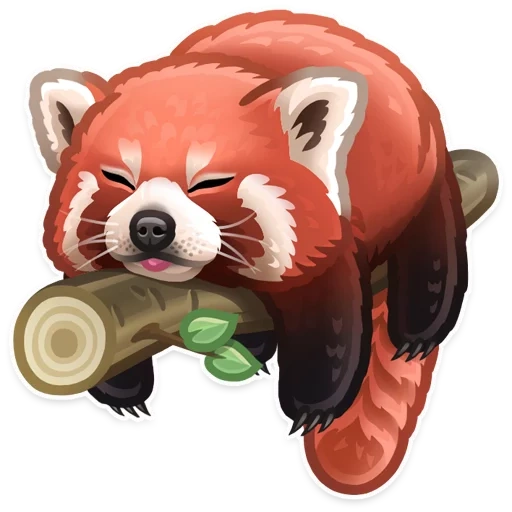 pequeño panda, panda rojo, arte de malaya panda, panda rojo pequeño