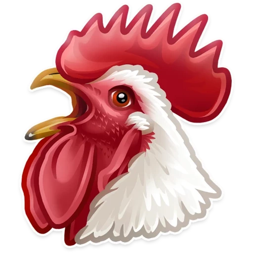 rooster's head, rooster, cockscomb, cock head child, cock transparent bottom