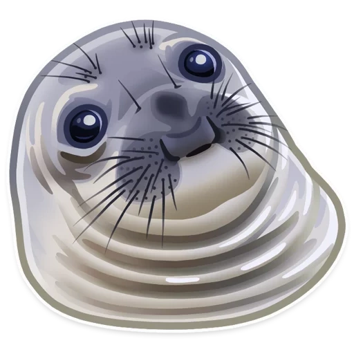 le foche, meme del sigillo, seal difettoso