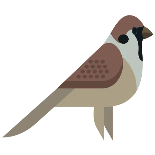 sparrow, sparrow bird, dear sparrow, sparrow vector, sparrow clipart
