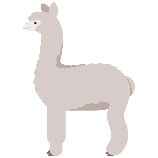 alpaki, white alpaca, alpaki template, alpaki drawing, little alpaca