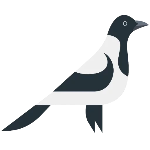 corvo, l'uccello della gazza, silhouette delle gazze, modello di gazza, modelli magpie