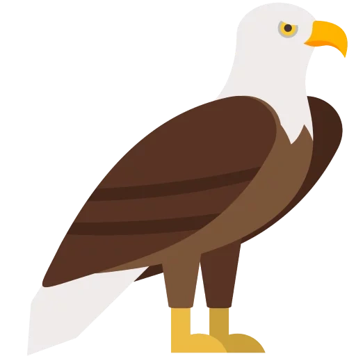 eagle-eagle, appartamento zoo, l'uccello dell'aquila, eagle-design piatto, vettore di aquila calva