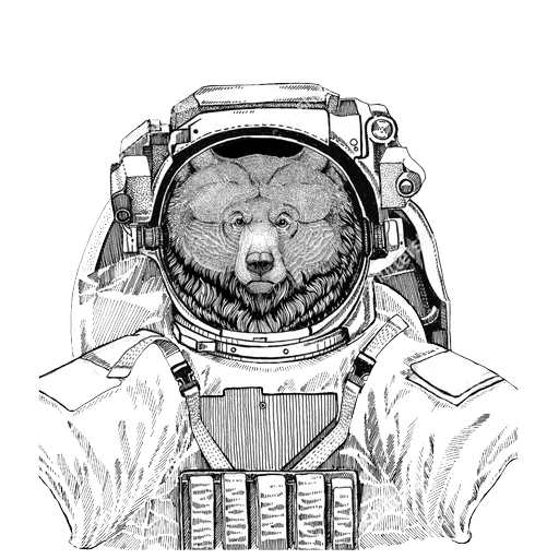 the cat is a spacesuit, bear of a spacesuit, bear cosmonaut art, dog spacesuit drawing, notebook total a5 listoff astronauts cell assortment of 48 sheets