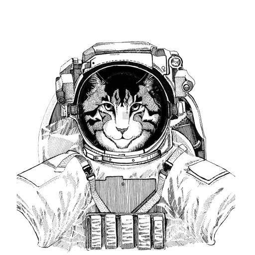 the cat is a spacesuit, cat of a spacesuit, cote to the spacesuit vector, cat to the spacesuit drawing, notebook total a5 listoff astronauts cell assortment of 48 sheets