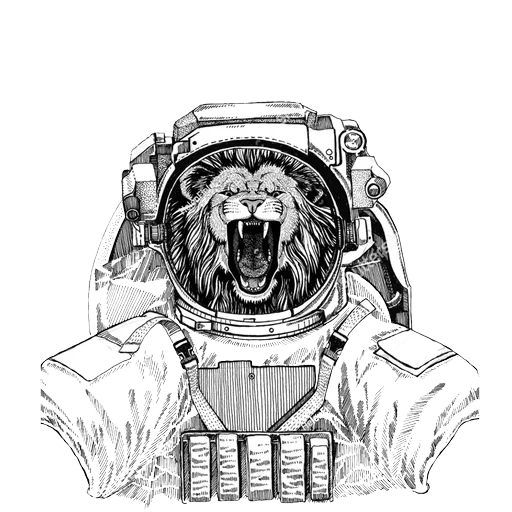 tuta spaziale, orso grizzly, il gatto è una spaziale, gatto al disegno della spaziale, disegno di spazi per cani