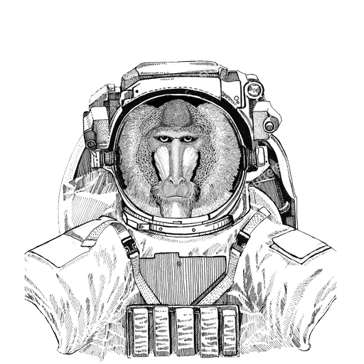 скафандр, космонавт арт, эскиз космонавта, обезьяна скафандре, скафандр иллюстрация