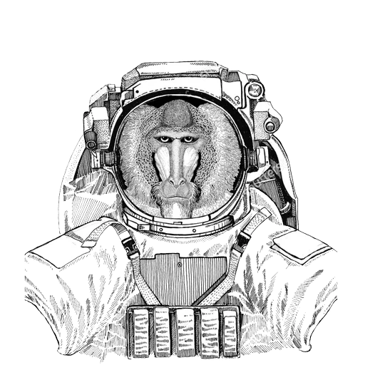 pakaian angkasawan, seni kosmonot, sketsa cosmonaut, pakaian antariksa monyet, ilustrasi tertinggi