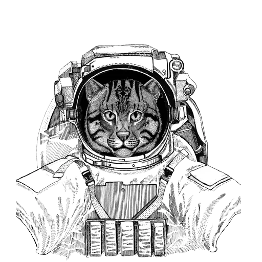 kucing pakaian luar angkasa, suptry menggambar, cote to the spacesit vector, menggambar pakaian antariksa anjing, sapi dengan gambar pakaian antariksa dengan pensil