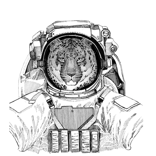 the cat is a spacesuit, cosmonaut art, wolf spacesuit, cat to the spacesuit drawing, dog spacesuit drawing