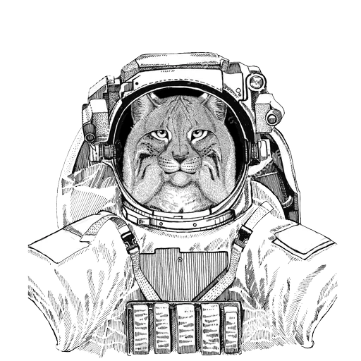 el gato es un traje espacial, traje de espacios de animales, gato al dibujo del traje espacial, métrica de astronauta tigre, dibujo de traje de espacios para perros