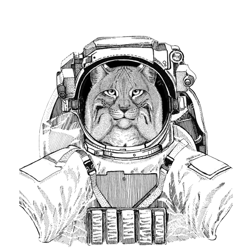 katze raumanzug, tierischer raumanzug, katze raumanzug muster, tiger astronaut messung, hund raumanzug muster