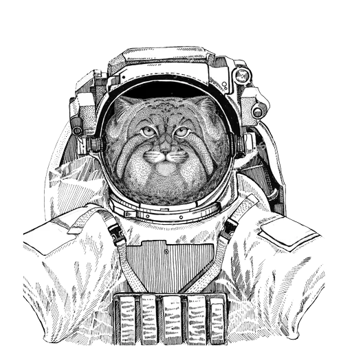 il gatto è una spaziale, manul astronauta, gatto al disegno della spaziale, disegno di spazi per cani, mucca con disegni di spazi per spazi con una matita