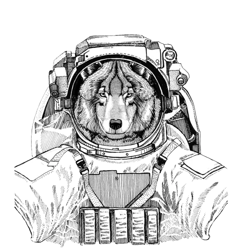 spaziale lupo, gatto al disegno della spaziale, disegno di spazi per cani, disegnare animali di spazio, mucca con disegni di spazi per spazi con una matita