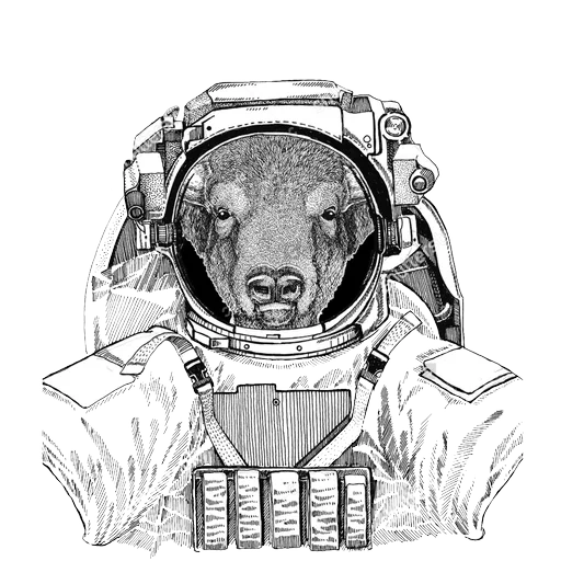 padrão de traje espacial, padrão de traje espacial de gato, padrão de traje espacial de cachorro, mapa do espaço animal, pintura a lápis de traje espacial de vaca