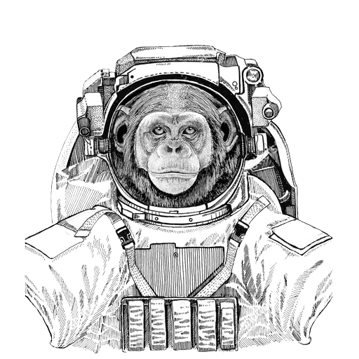cosmonaut art, suptry drawing, cosmonaut graphics, dog spacesuit drawing, drawing animals of space