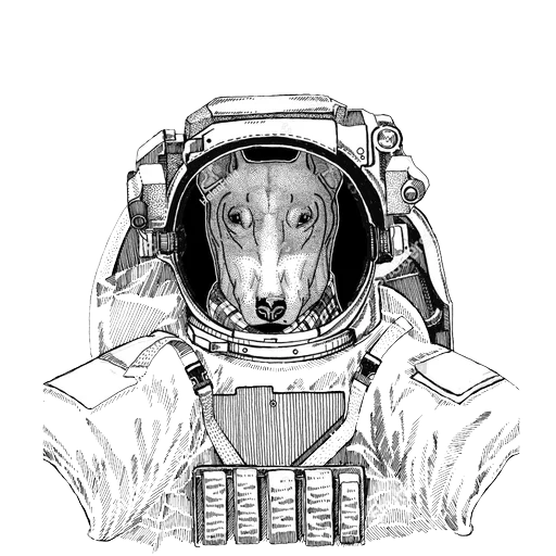 el gato es un traje espacial, perro para un traje espacial, gato al dibujo del traje espacial, dibujo de traje de espacios para perros, vaca con dibujos de traje de espacios con un lápiz