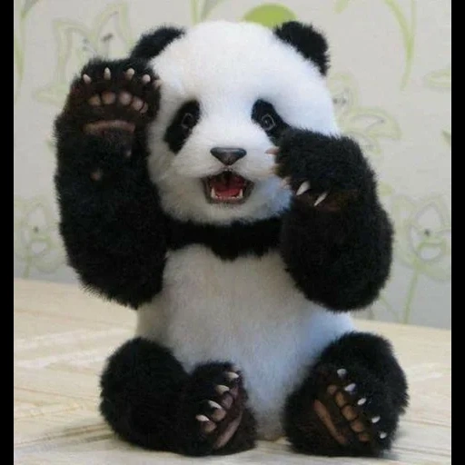 panda, panda panda, jouets pour panda, peluche de panda, panda jouet teddy