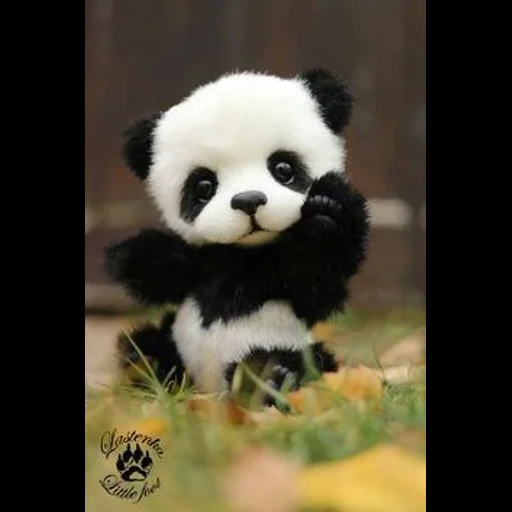 panda, lindo panda, hugo panda, panda colorido, panda cachorro