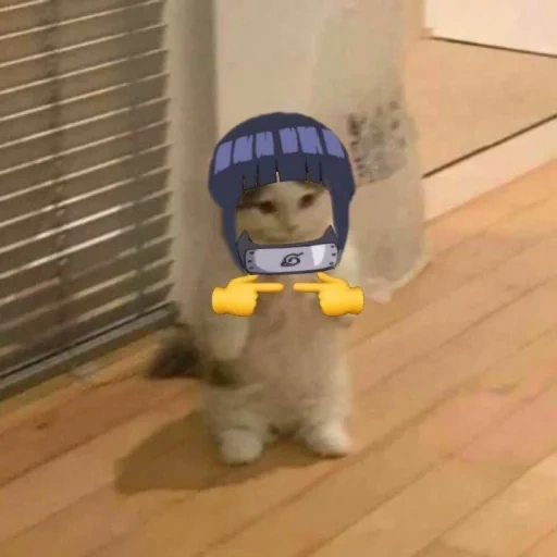 nao, masha, израиль, anime cat, адэптэ щяо мем