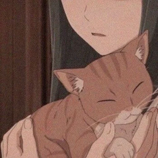 foto, anime gato, anime gato, anime fofo, estética de gatos de anime