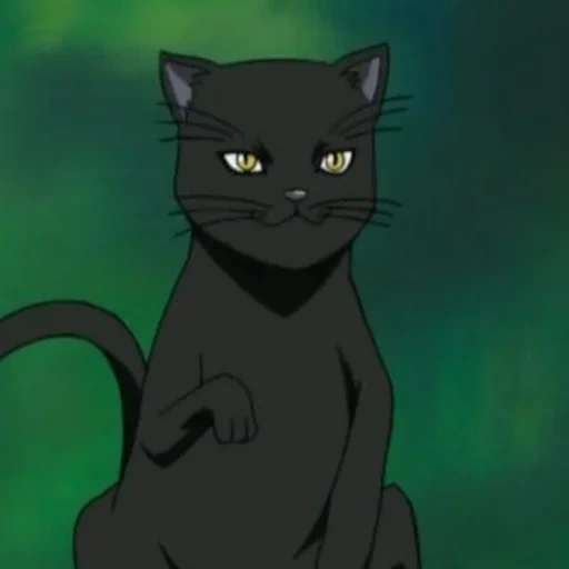 черный кот, йоруичи кот, йоруичи кошка, ёруити блич кот, йоруичи шихоуин кошка